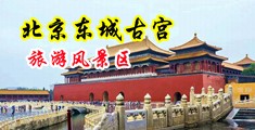 鸡巴内射网站无码精品污漫视频中国北京-东城古宫旅游风景区